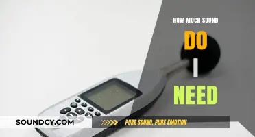 Finding the Right Sound Level: A Guide to Your Audio Needs