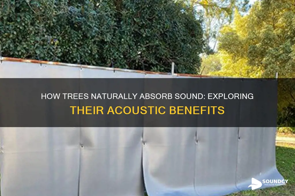 how much sound do trees absorb