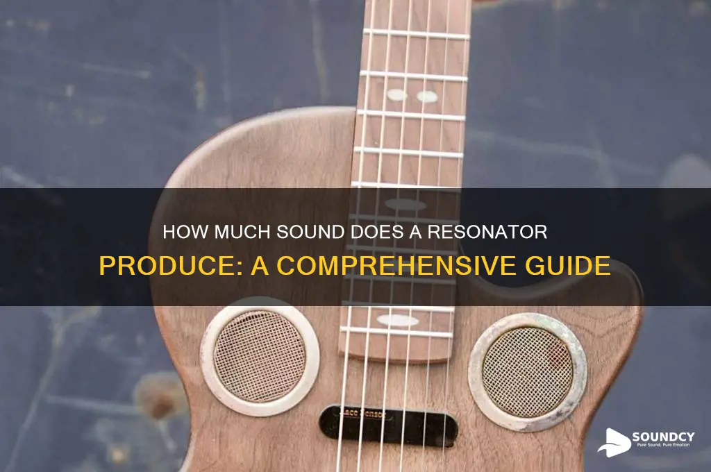 how much sound does a resonator