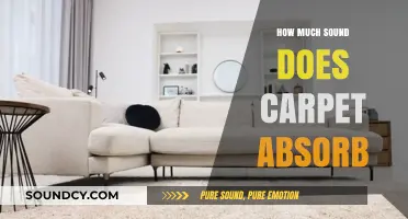 Carpet's Acoustic Benefits: How Much Sound Does It Absorb?