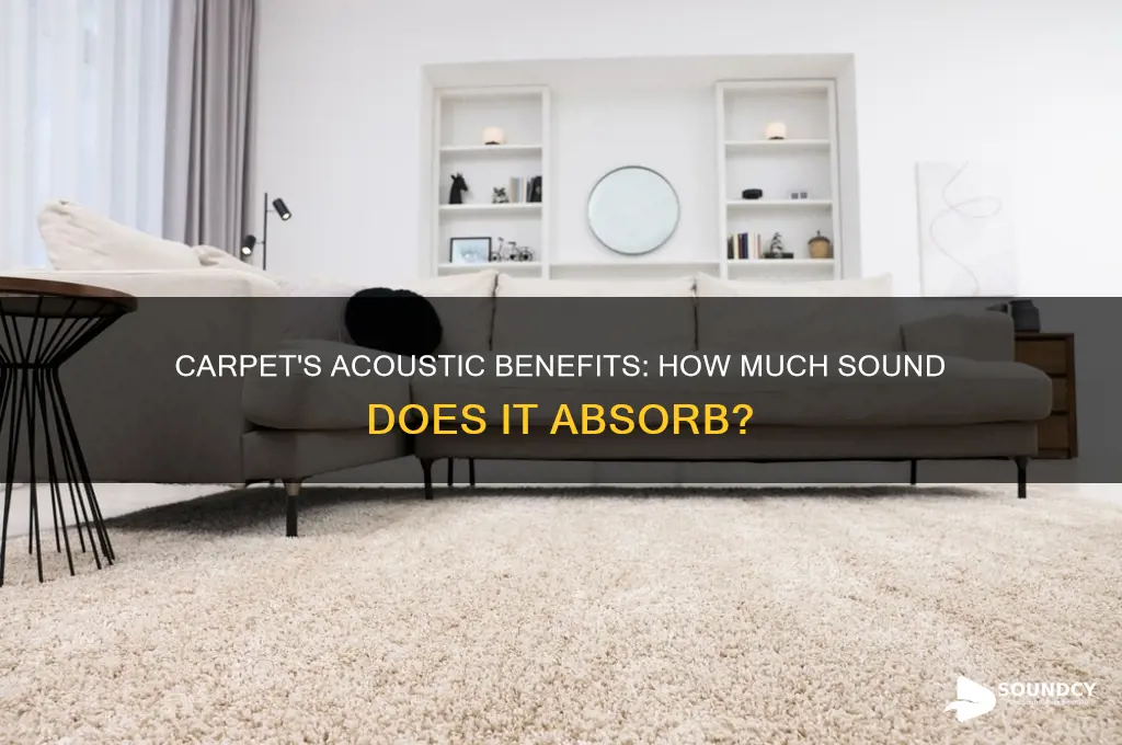how much sound does carpet absorb