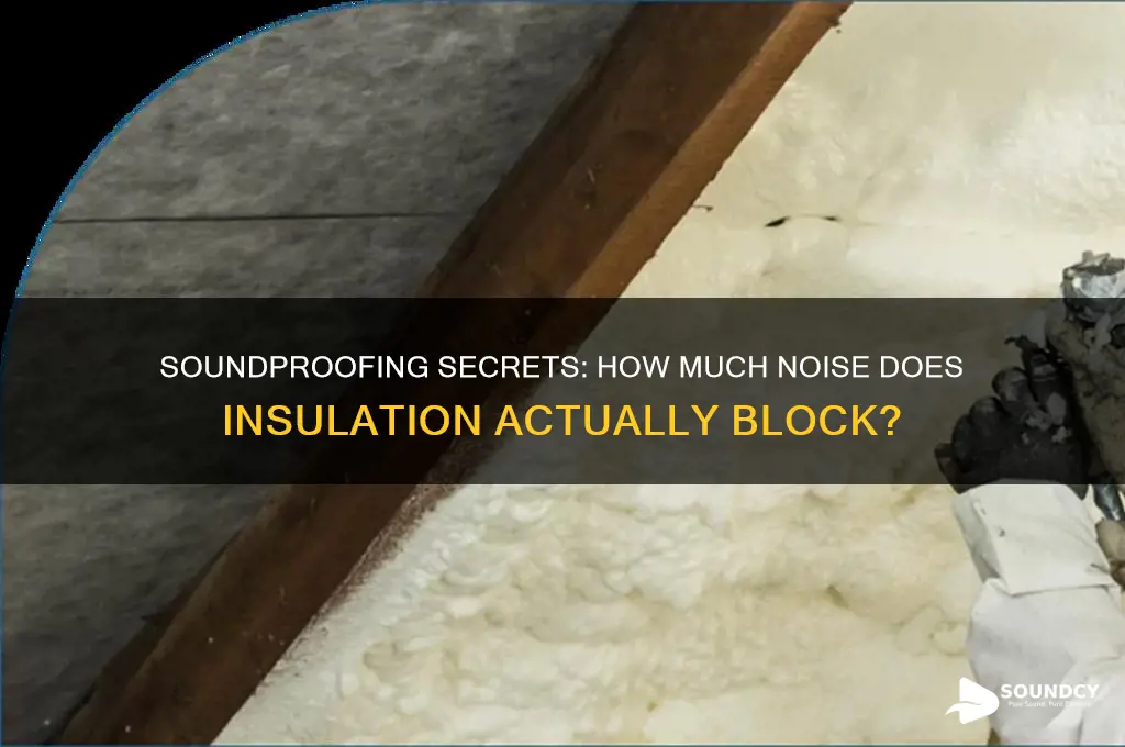 how much sound does insulation block