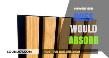 How Much Sound Would Wood Absorb: Exploring Acoustic Properties