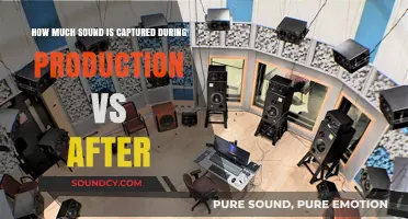 Sound Capture: Production vs. Post - Unveiling the Audio Divide