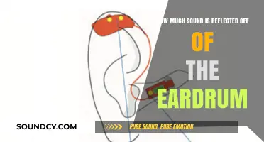 Eardrum Sound Reflection: Understanding How Much Echoes Back