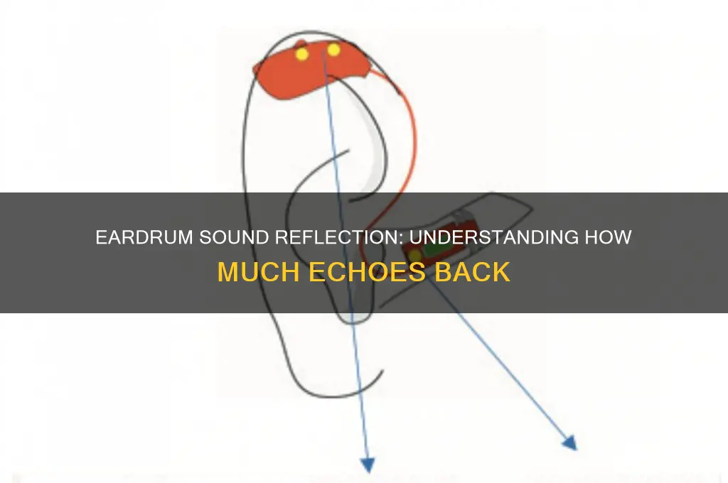 how much sound is reflected off of the eardrum