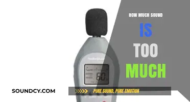When Noise Becomes Harmful: Understanding Safe Sound Levels