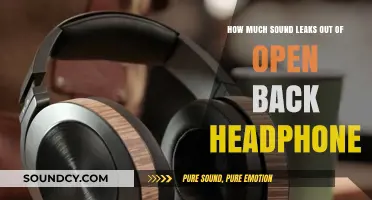 Open-Back Headphones: How Much Sound Escapes and Who Hears It?