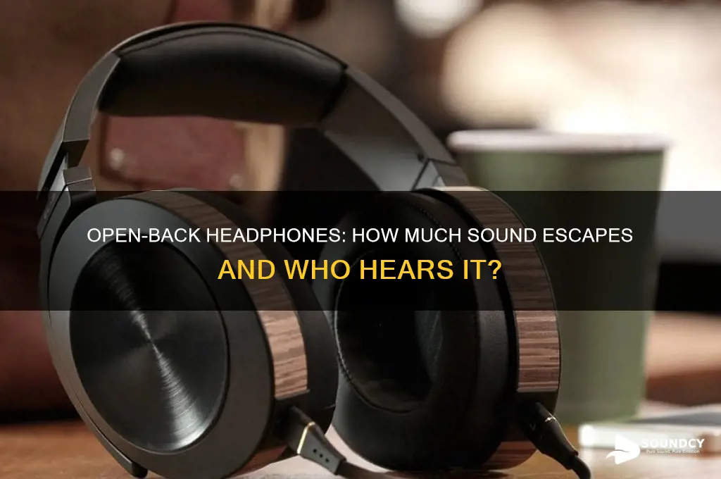 how much sound leaks out of open back headphone