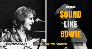 Sounding Like Bowie: Mastering His Unique Vocal Style and Presence