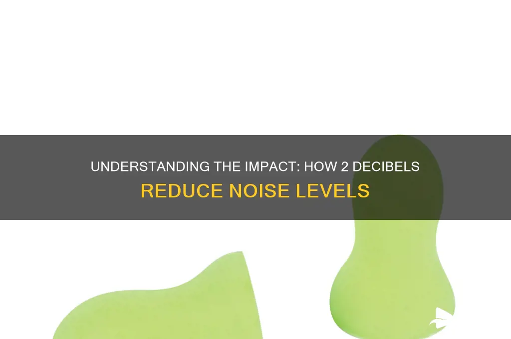 how much sound reductionis 2 decibels