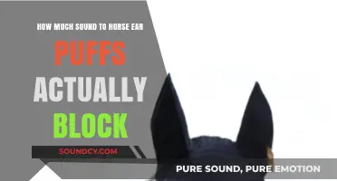 Horse Ear Puffs: Unveiling Their Sound-Blocking Capabilities for Equine Comfort