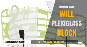 How Much Sound Does Plexiglass Block? A Comprehensive Guide