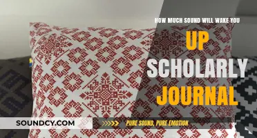 Scholarly Insights: Decoding Sound Thresholds That Disrupt Sleep Patterns