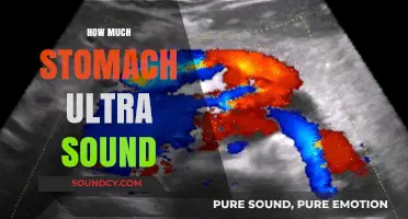 Understanding Stomach Ultrasound Costs: What to Expect and Why
