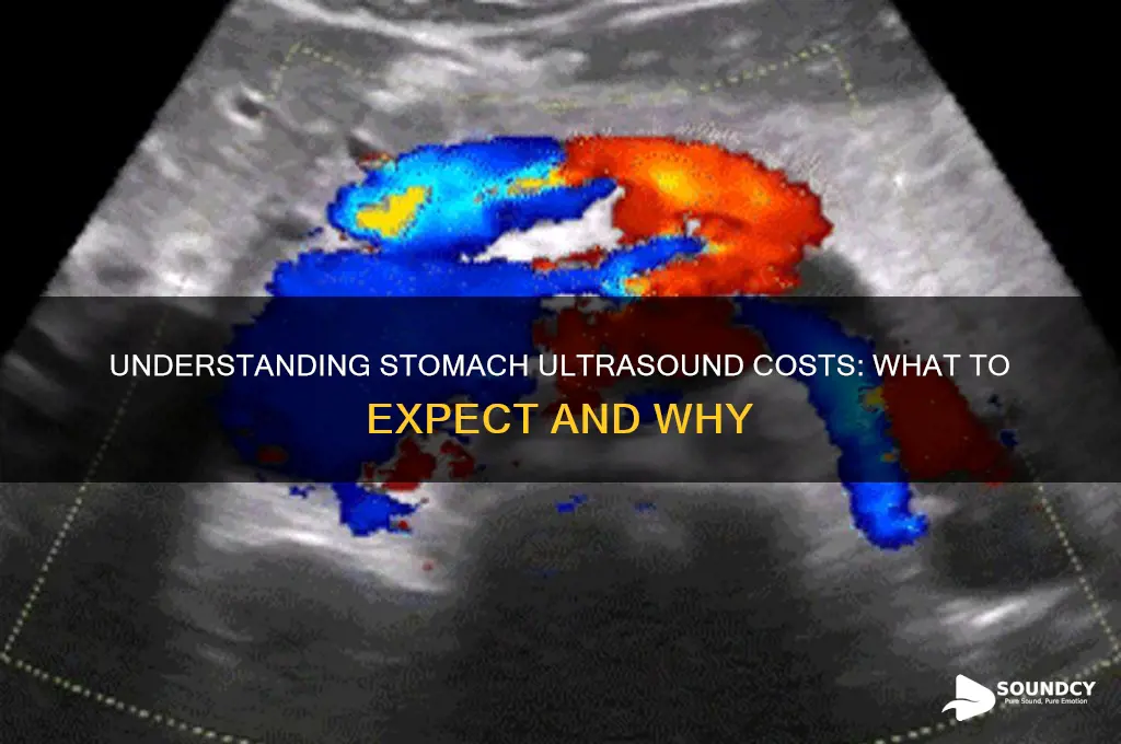 how much stomach ultra sound