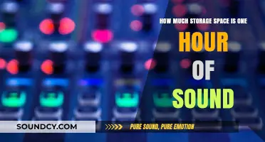 Understanding the Storage Space Required for One Hour of Sound