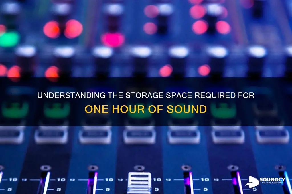 how much storage space is one hour of sound