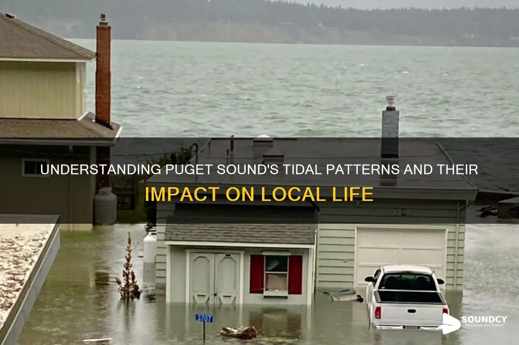 how much tide in puget sound