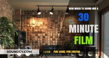 Sound Mixing Costs for a 30-Minute Film: Budgeting Guide