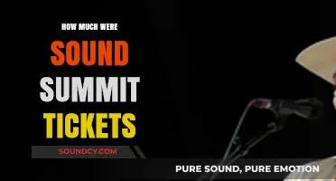 Sound Summit Ticket Prices: How Much Did They Cost?