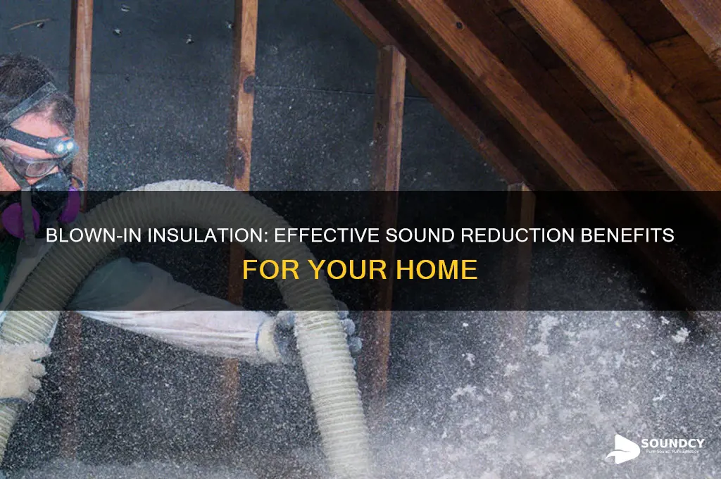 how much will adding blown in insulation reduce sound
