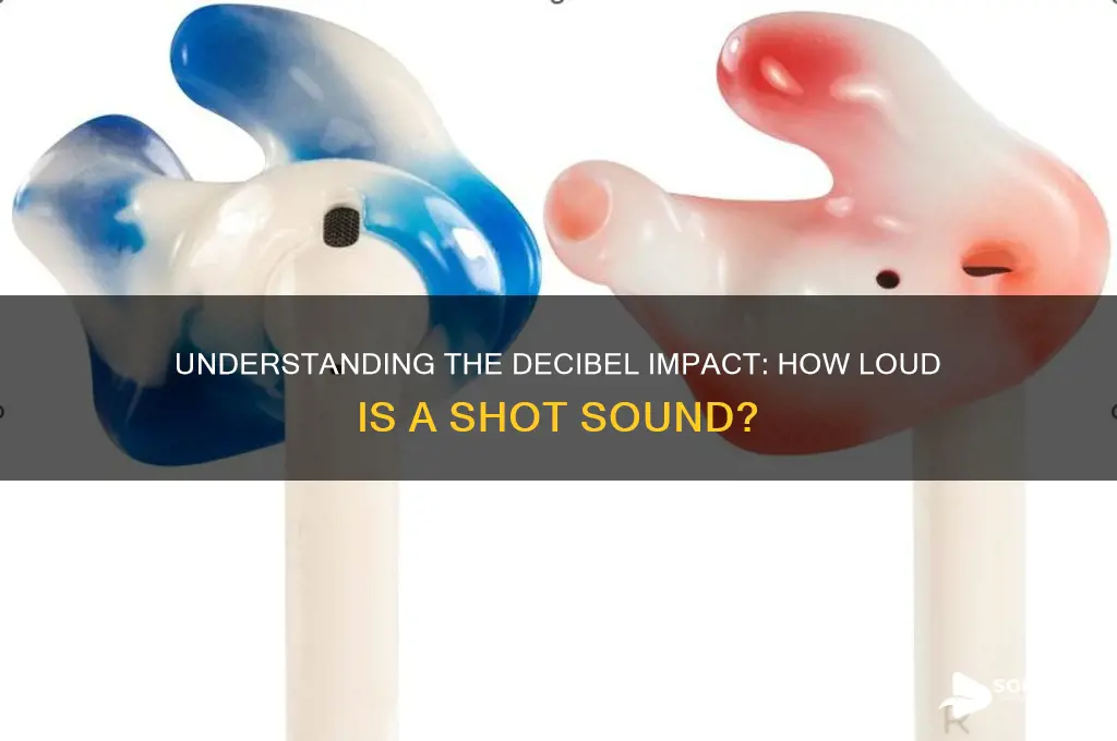 how muchndecibels shot sounds like