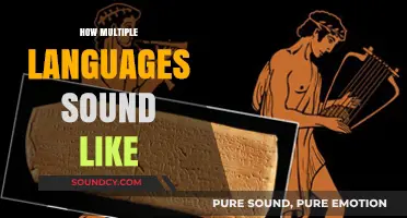 Exploring the Unique Melodies and Rhythms of Multiple Languages