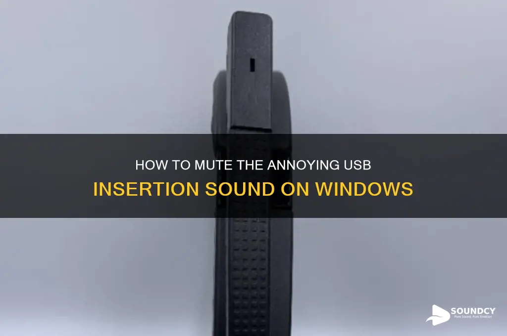 how mute sound of inserting usb