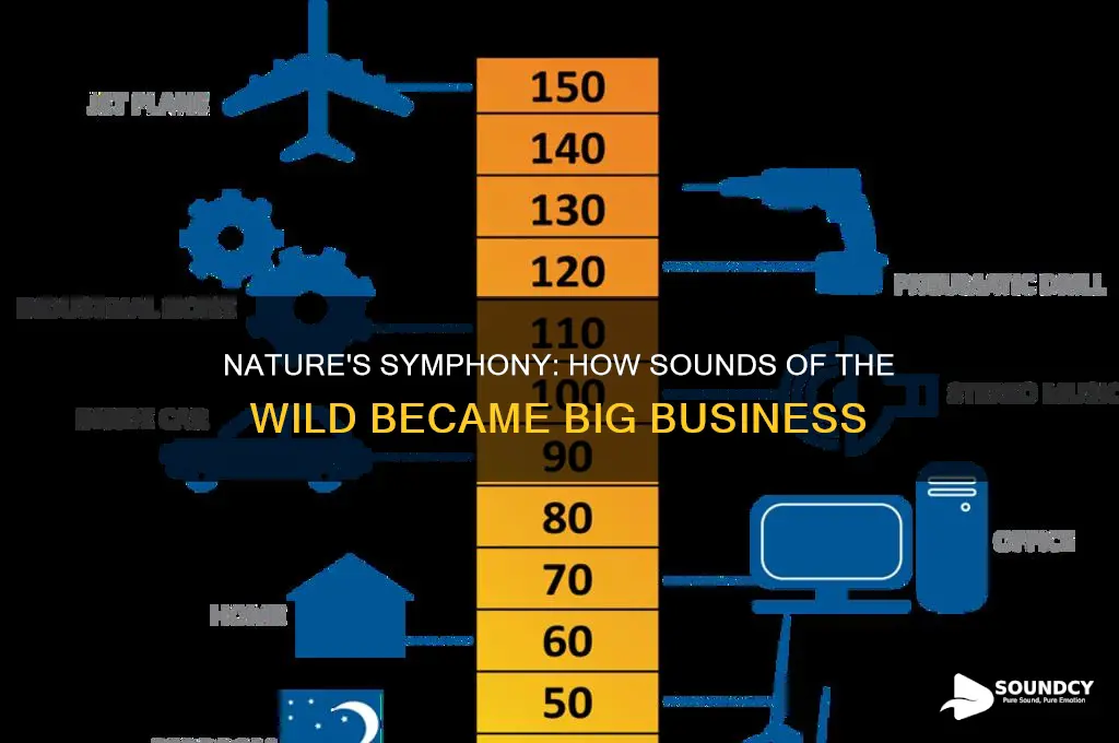 how nature sounds became a multi-million dollar industry