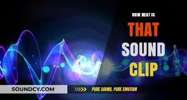 How Neat is That Sound Clip? Exploring Its Magic and Appeal