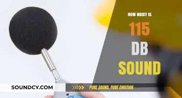 Understanding the Intensity of 115 dB Noise Levels and Their Impact