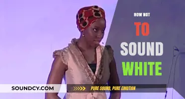 Authentic Expression: Avoiding Cultural Appropriation in Speech and Language