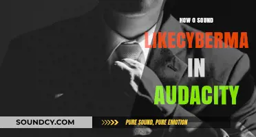 Mastering the Cyberman Voice: Audacity Tips for Sci-Fi Sound Effects
