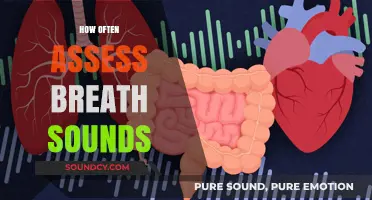 Assessing Breath Sounds: Optimal Frequency for Accurate Patient Monitoring