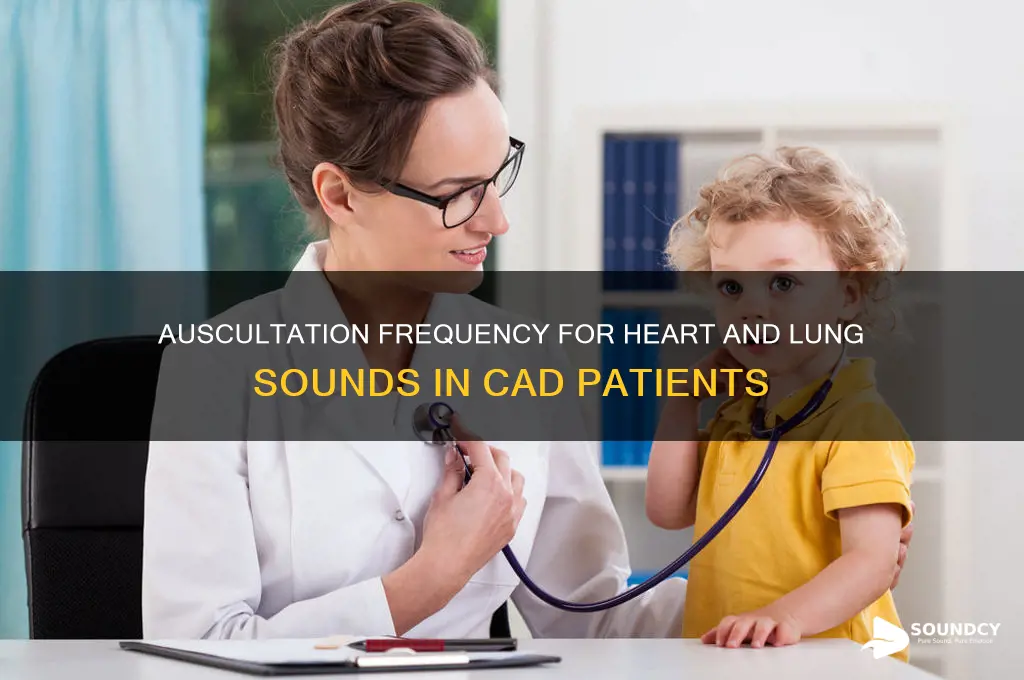 how often auscultate heart and lung sounds cad patient