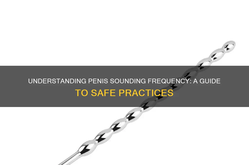 how often do you penis sound