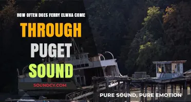 Ferry Elwha's Puget Sound Schedule: Frequency and Timings Explained