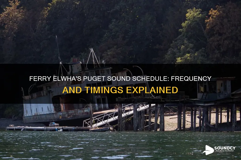 how often does ferry elwha come through puget sound