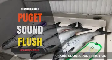 Puget Sound's Flushing Frequency: Understanding Its Natural Renewal Cycle