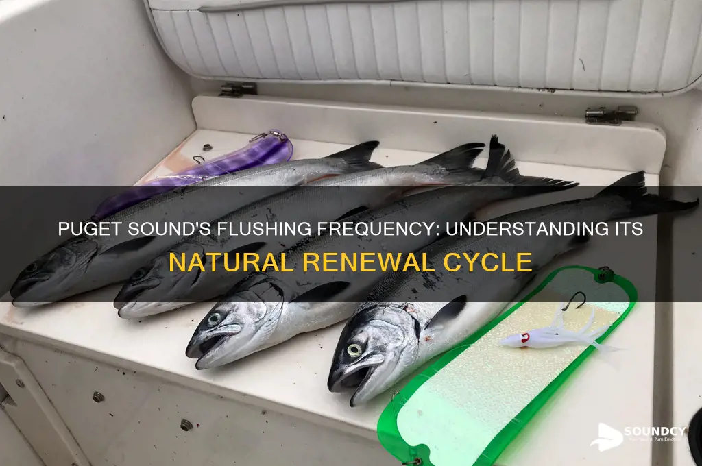 how often does puget sound flush