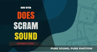 How Often Does the SCAM Alarm Sound: Frequency Explained