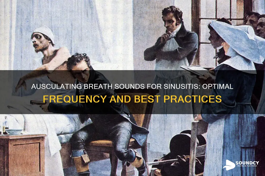 how often should breath sounds be ausculatated for sinusitis