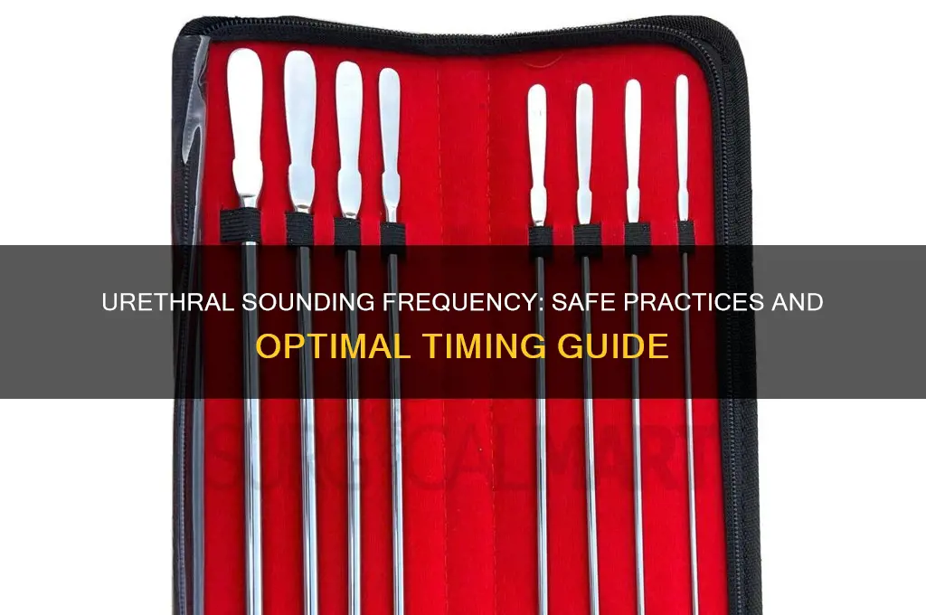 how often to sound urethra