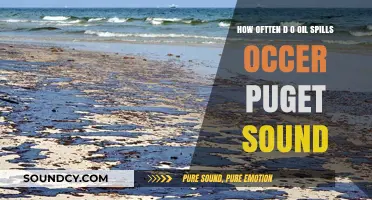 How Often Do Oil Spills Occur in Puget Sound?