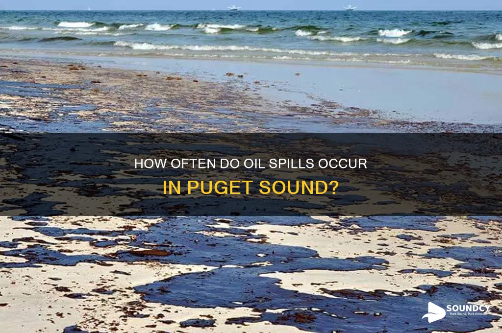 how oftten d o oil spills occer puget sound