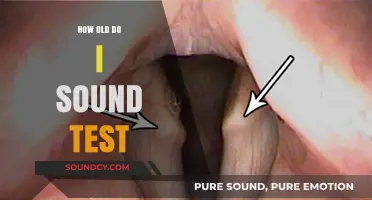 Your Voice's Age: The Perception Test