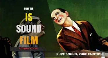 The Age of Sound Film: A Historical Journey Through Cinema
