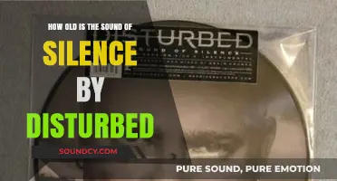 Disturbed's 'The Sound of Silence' Cover: Age and Impact