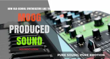 Unveiling the Analog Magic: How Old-School Synthesizers Like the Moog Produced Sound